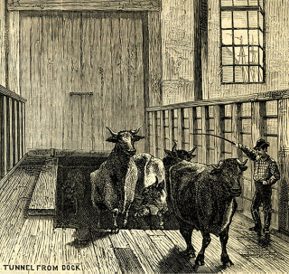 Illustration for article titled The Lost Cow Tunnels of New York City